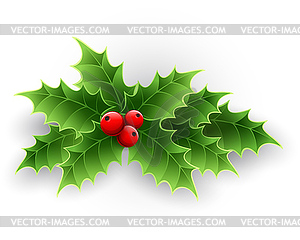 Christmas Holly Berry - royalty-free vector clipart