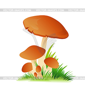 Edible mushroom porcini with grass - vector clipart