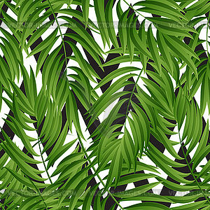 Tropical Palm leaves. seamless - vector clip art