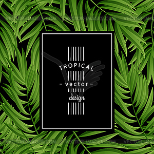 Tropical Palm leaves. seamless - vector image