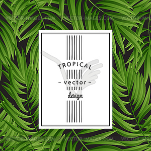 Tropical Palm leaves. seamless - vector clip art