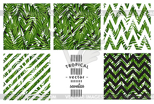 Tropical Palm leaves. seamless - vector clipart