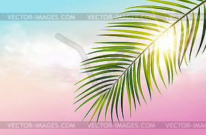 Green leaf of palm tree - vector clipart