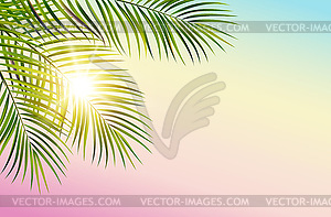 Green leaf of palm tree - vector image