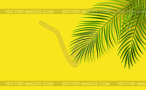 Green leaf of palm tree on yellow background - vector clipart