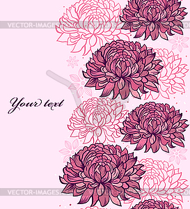 Chrysanthemums - vector clipart