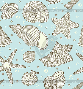 Ocean shells - vector image