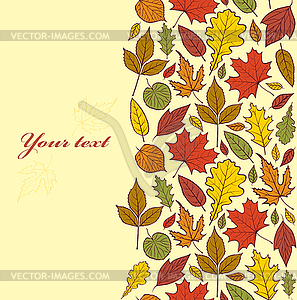 Autumn leaves - vector image