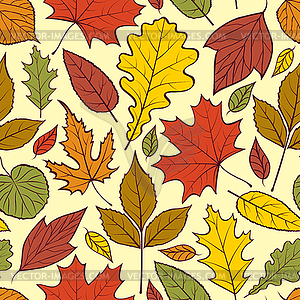 Осенние листья - клипарт в векторном формате