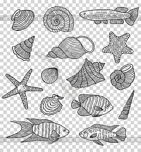 Set of shells and fishes - vector clipart