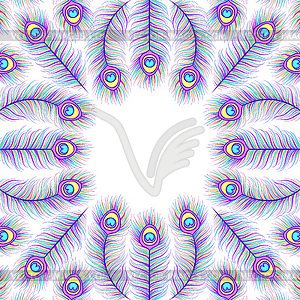 Card with colorful peacock feathers - vector clip art