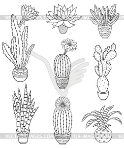 Set of houseplant - vector clip art