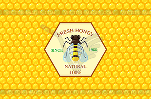 Honey label template - vector clipart
