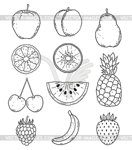 Fruits - vector clipart