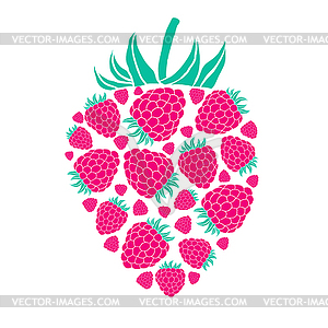 Raspberry - vector image