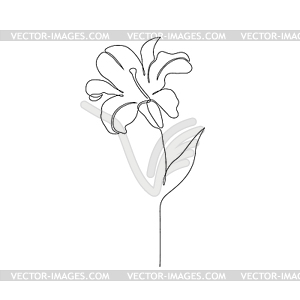 Цветок лилии - стоковый клипарт