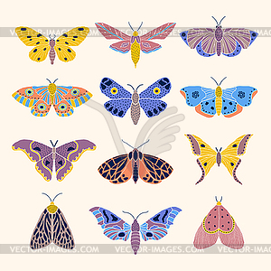 Moths and butterflies - vector clipart / vector image