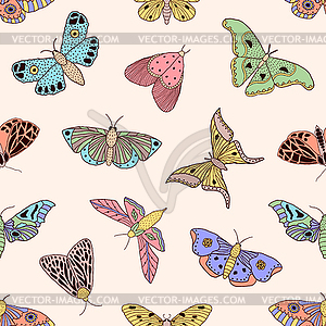 Pattern with butterflies and moths - vector image