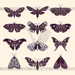 Moths and butterflies - vector image