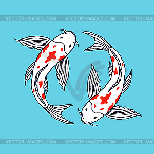 Koi fishes on blue background - vector image