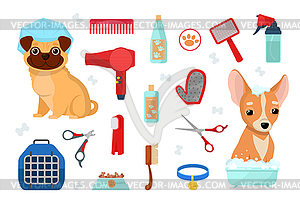 Accessories for care and dogs - vector clip art