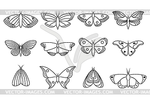 Collection of icons butterflies - vector clip art