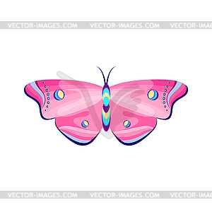 Colorful butterfly - vector image