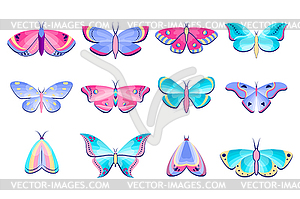 Moths and butterflies - vector image