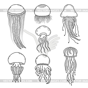 Набор медуз - векторное изображение клипарта