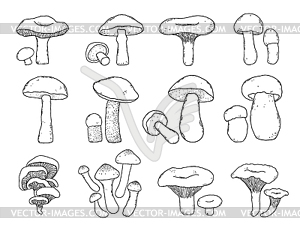 Collection of mushrooms - vector clip art