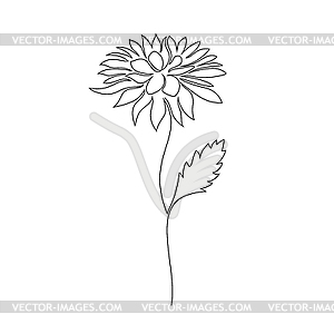 Chrysanthemum flower - vector clip art