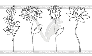 Collection of flowers - vector clip art
