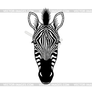 Zebra head - vector clip art