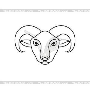 Ram head in line art style - vector image