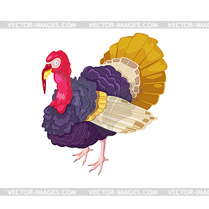 Turkey in cartoon style - color vector clipart