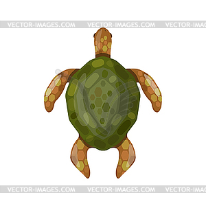 Черепаха в мультяшном стиле - иллюстрация в векторном формате