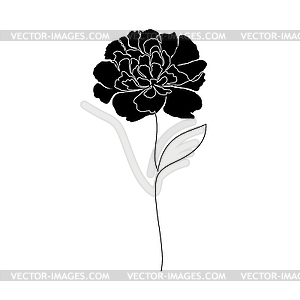 Peony flower - vector clipart