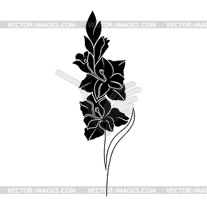 Гладиолус цветок - векторный клипарт / векторное изображение