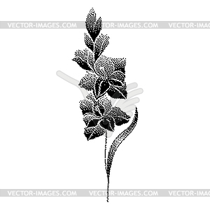 Gladiolus flower with bitmap effect - vector clip art