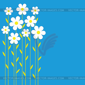 Background chamomile - vector image