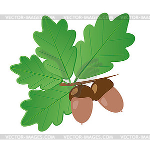 Acorns With Oak Leaves in Summer Objects - vector clipart