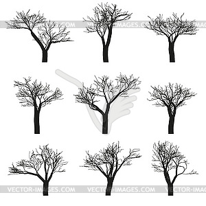 Trees set - vector image