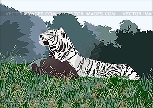 Tiger - vector clipart