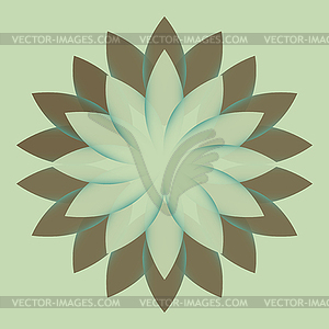 Beautiful Lotus Flower Color Whee - vector image