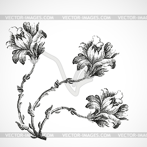 Hand drawn bouquet of three flowers of lily, vintage  - vector image