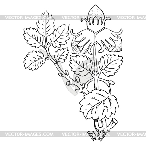 Strawberry bush with berries, contour illustra - vector image