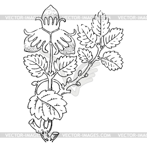 Strawberry bush with berries, contour illustra - vector clipart