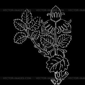 Клубничный куст с ягодами, контур Illustra - векторное изображение