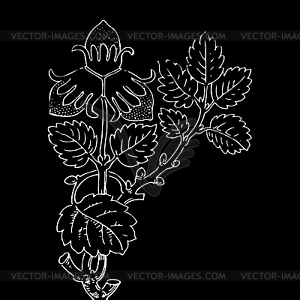 Strawberry bush with berries, contour illustra - vector clipart