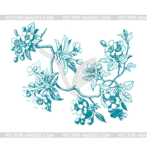 Botanical branches with leaves and flowers - vector clipart